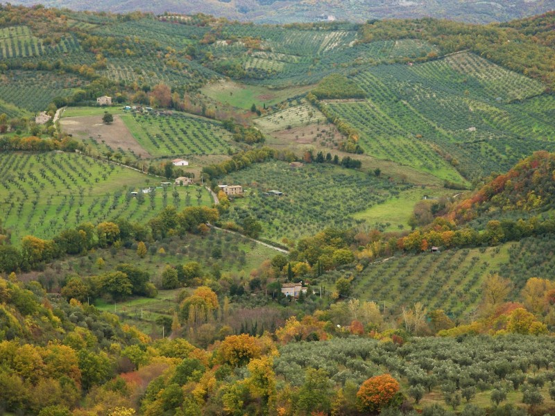 Sabina sublime-Dettagli d''autunno